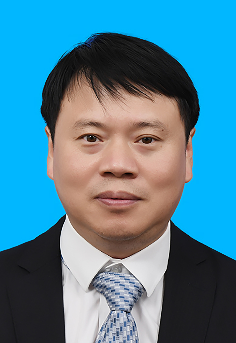 Prof. Dr. Qiyao Wang